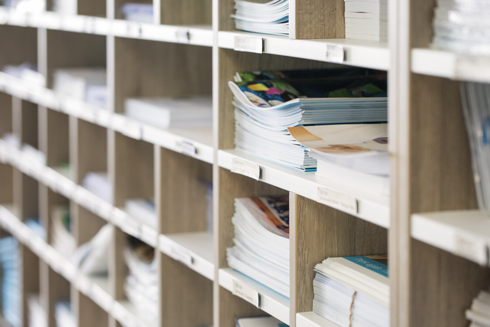 Wissenschaftliche Publikationen